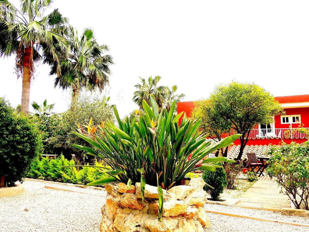 Villa Palmer I Beachhouse Peguera Bagian luar foto